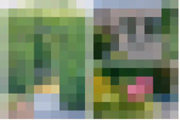 Zwaluwhof 5 Moordrecht thumbnail 5