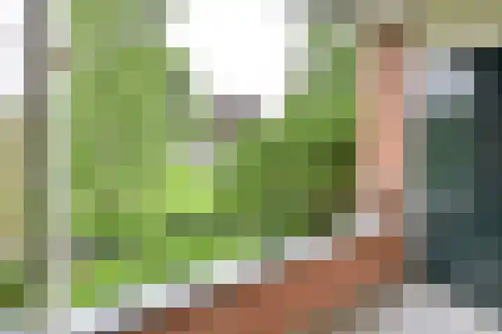 Zwaluwlaan 100 Bussum thumbnail 10