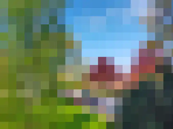 Zwaluwlaan 100 Bussum thumbnail 11