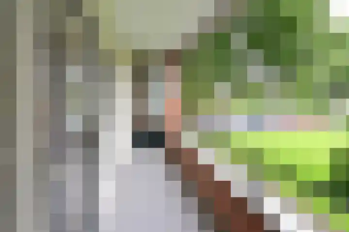 Zwaluwlaan 100 Bussum thumbnail 12