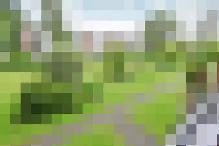 Zwaluwlaan 100 Bussum thumbnail 13