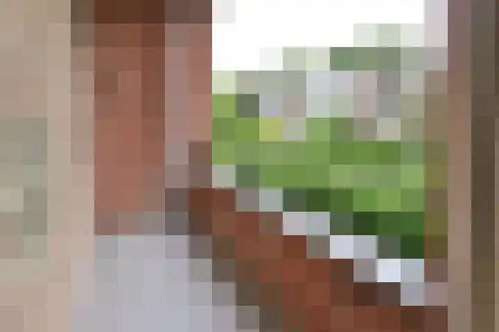 Zwaluwlaan 100 Bussum thumbnail 19