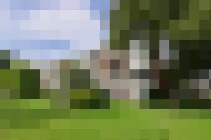 Zwaluwlaan 100 Bussum thumbnail 20