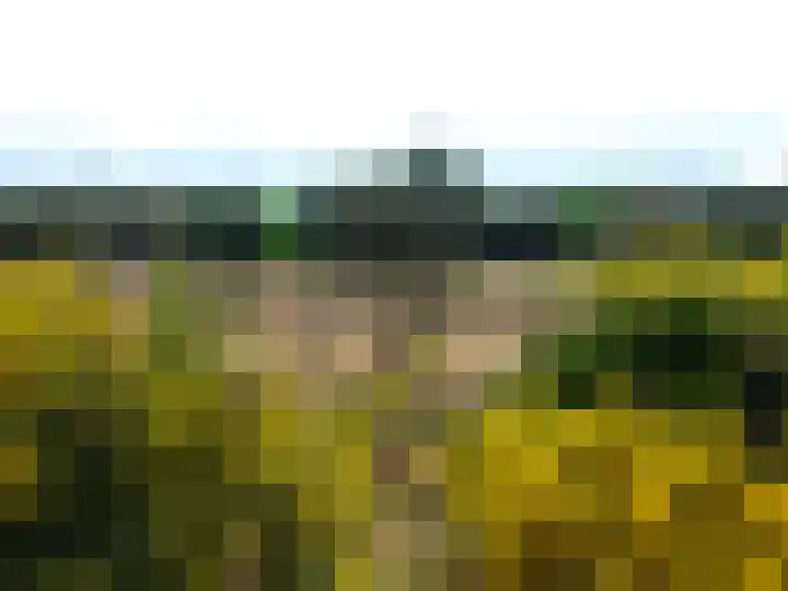 Zwaluwlaan 100 Bussum thumbnail 23