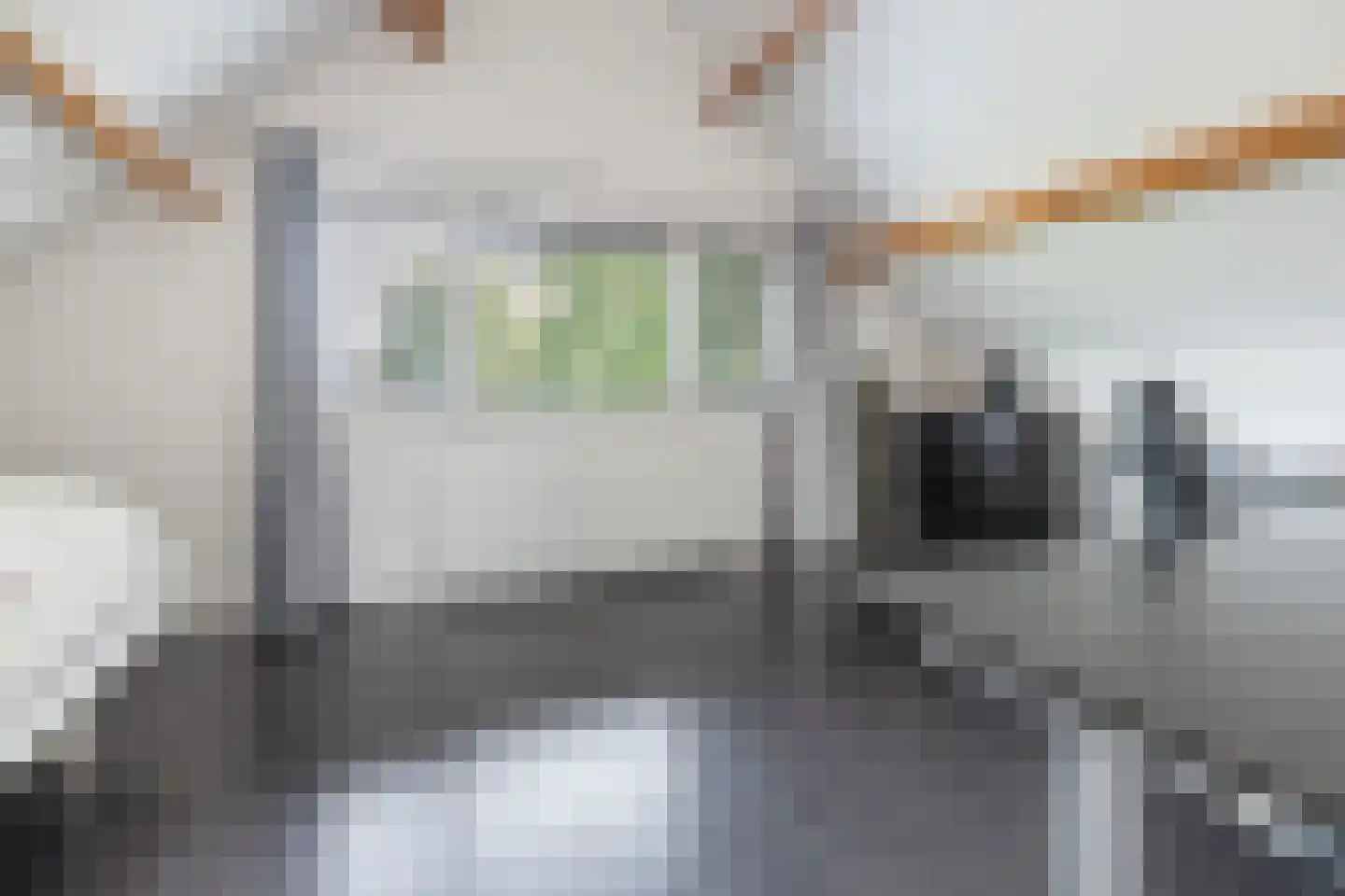 Zwaluwlaan 111 Bussum thumbnail 20