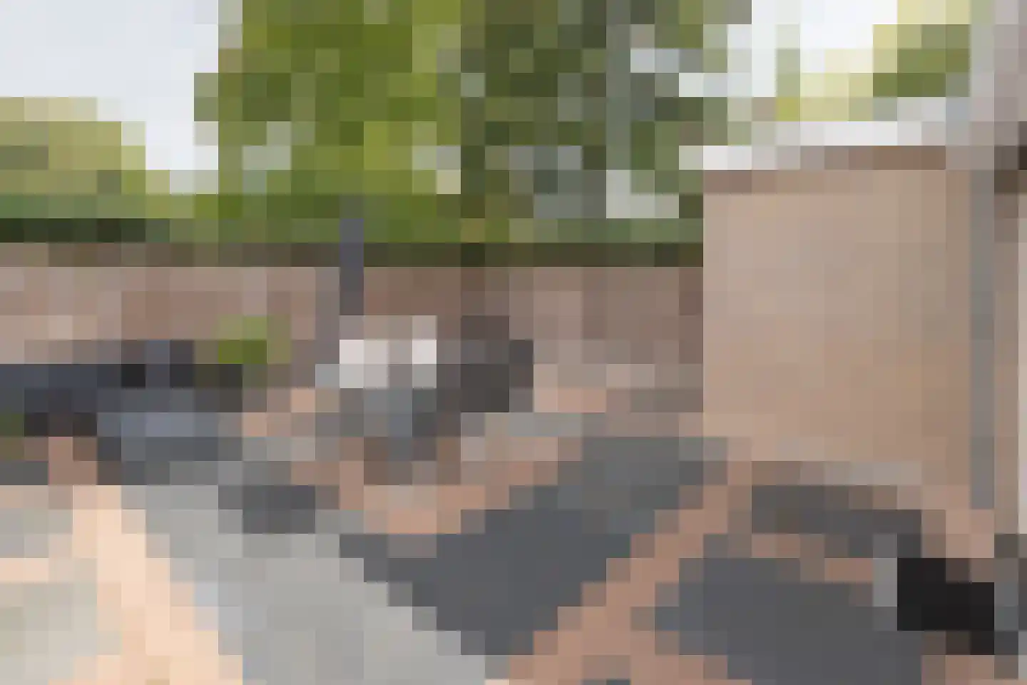 Zwaluwlaan 111 Bussum thumbnail 23