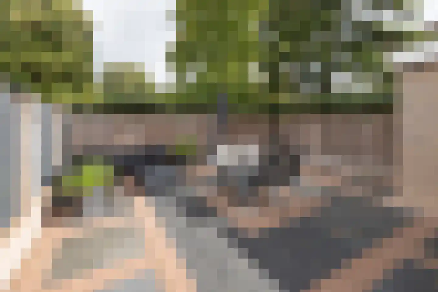 Zwaluwlaan 111 Bussum thumbnail 24