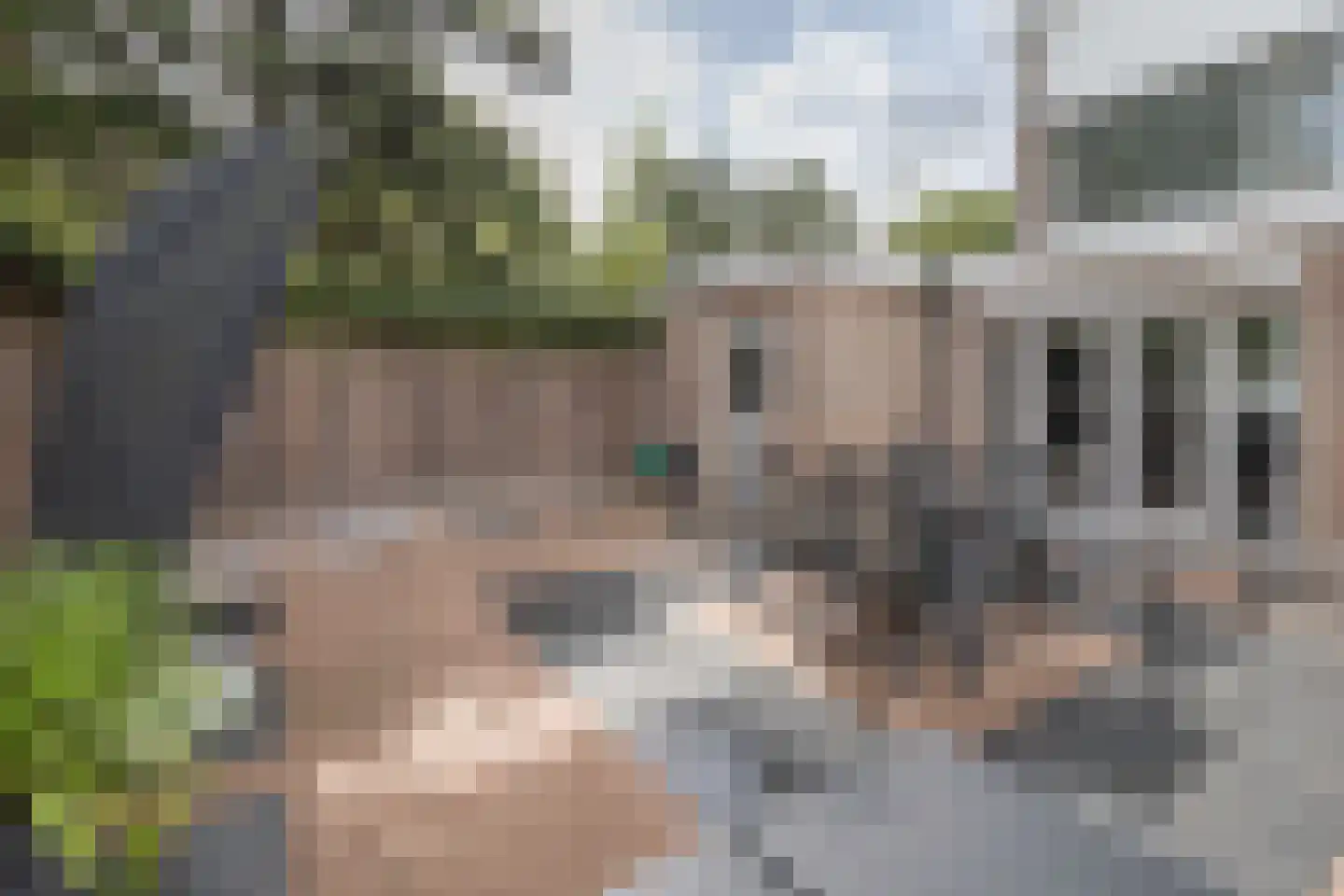 Zwaluwlaan 111 Bussum thumbnail 26