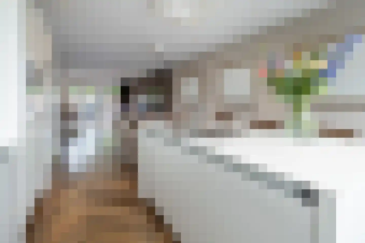 Zwaluwlaan 111 Bussum thumbnail 6