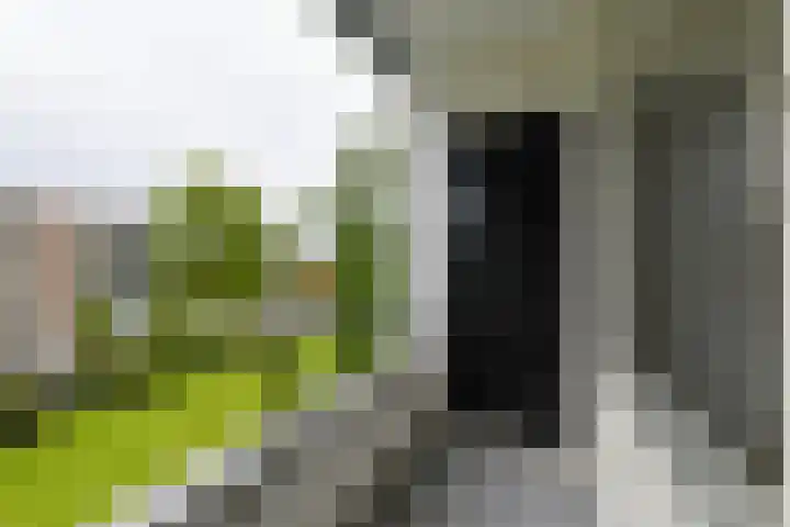 Zwaluwlaan 118 Bussum thumbnail 10