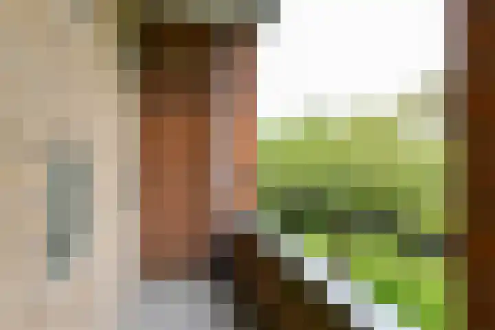Zwaluwlaan 118 Bussum thumbnail 17