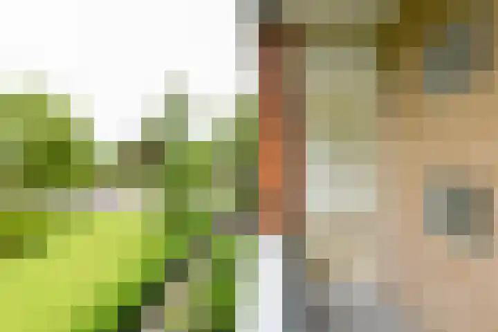 Zwaluwlaan 118 Bussum thumbnail 18