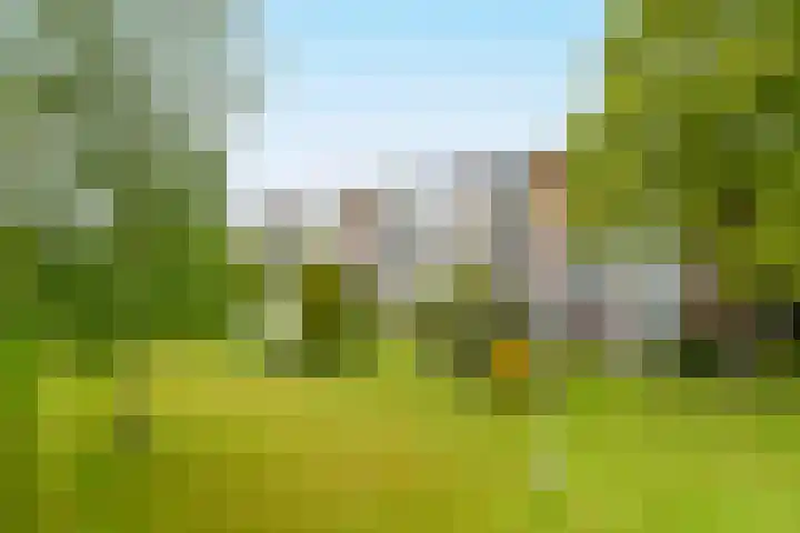 Zwaluwlaan 118 Bussum thumbnail 20