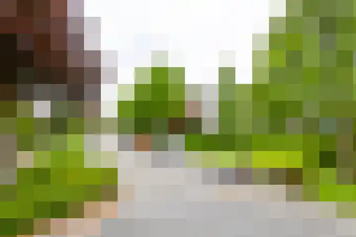 Zwaluwlaan 118 Bussum thumbnail 21