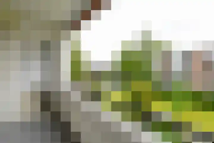 Zwaluwlaan 118 Bussum thumbnail 7