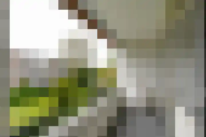 Zwaluwlaan 118 Bussum thumbnail 8