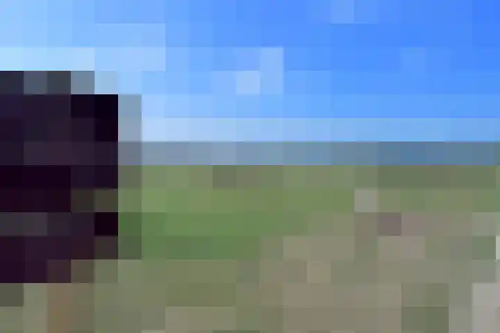 Zwaluwlaan 14 Bussum thumbnail 14