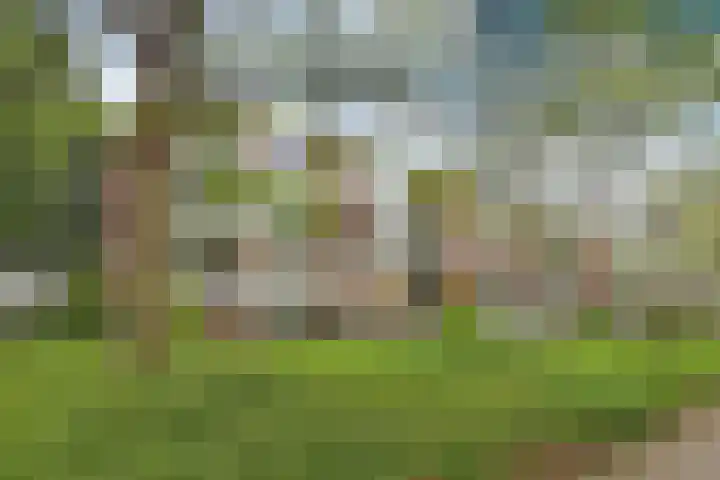 Zwaluwlaan 14 Bussum thumbnail 19