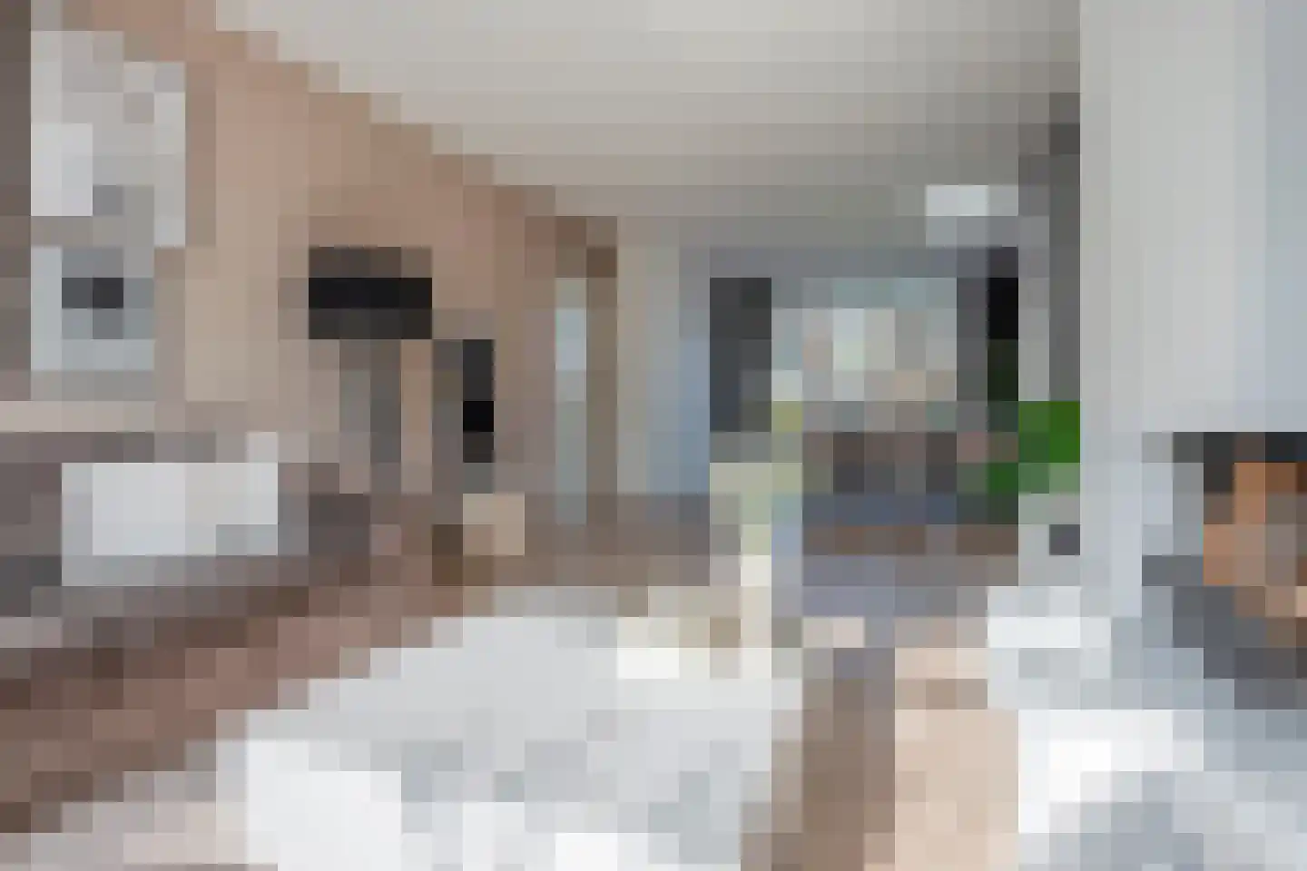 Zwaluwlaan 148 Bussum thumbnail 11
