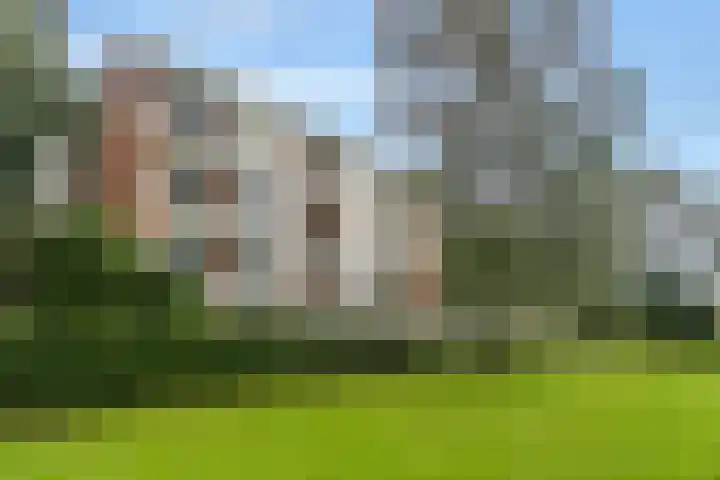 Zwaluwlaan 150 Bussum