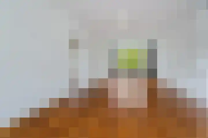 Zwaluwlaan 150 Bussum thumbnail 11