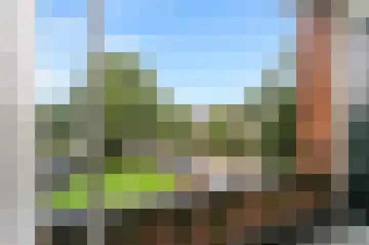 Zwaluwlaan 150 Bussum thumbnail 12