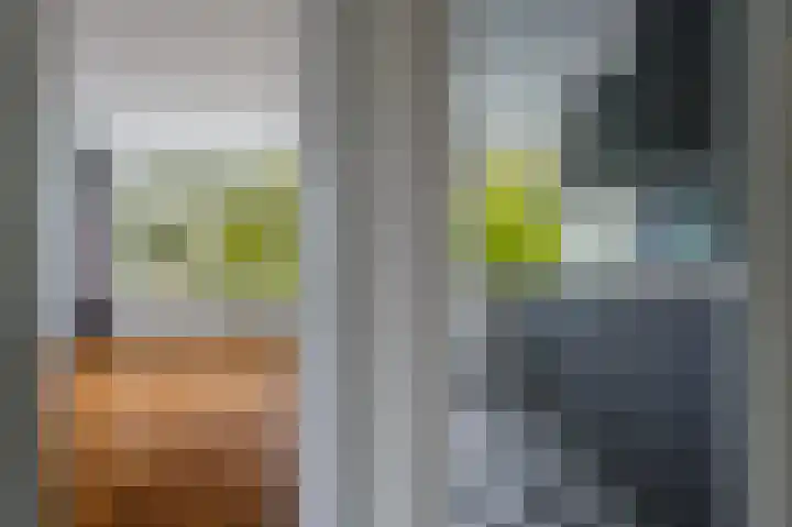 Zwaluwlaan 150 Bussum thumbnail 13