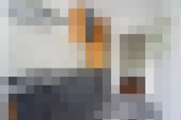 Zwaluwlaan 150 Bussum thumbnail 14