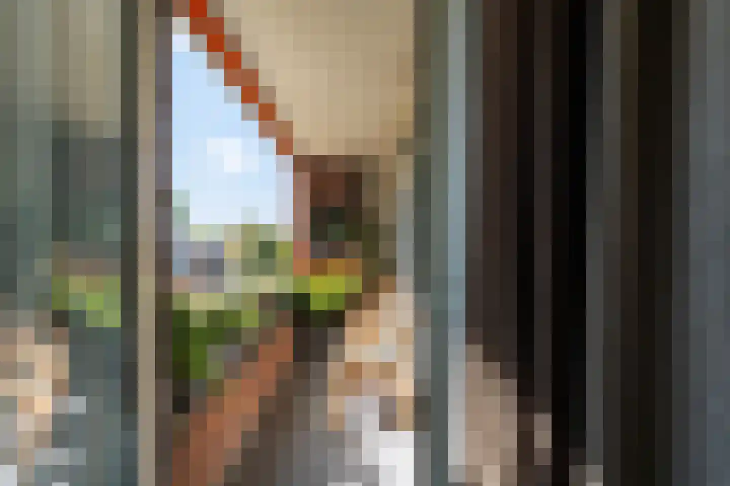 Zwaluwlaan 150 Bussum thumbnail 14