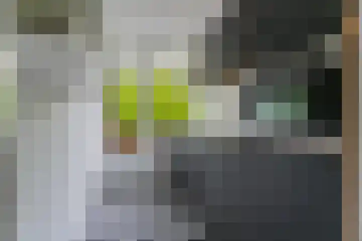 Zwaluwlaan 150 Bussum thumbnail 15