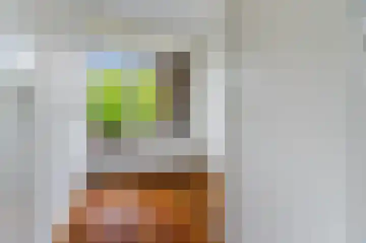 Zwaluwlaan 150 Bussum thumbnail 17