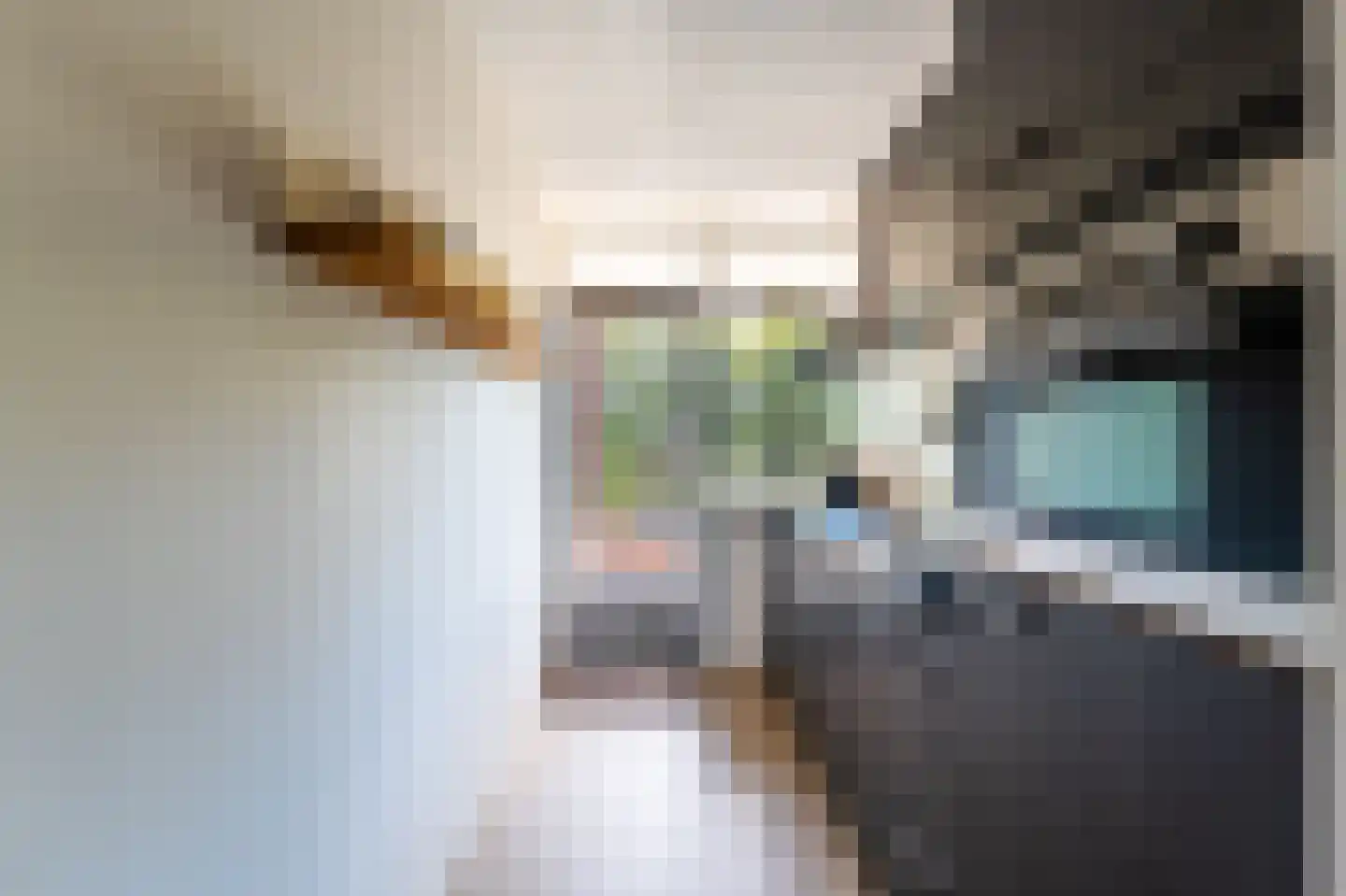 Zwaluwlaan 150 Bussum thumbnail 17