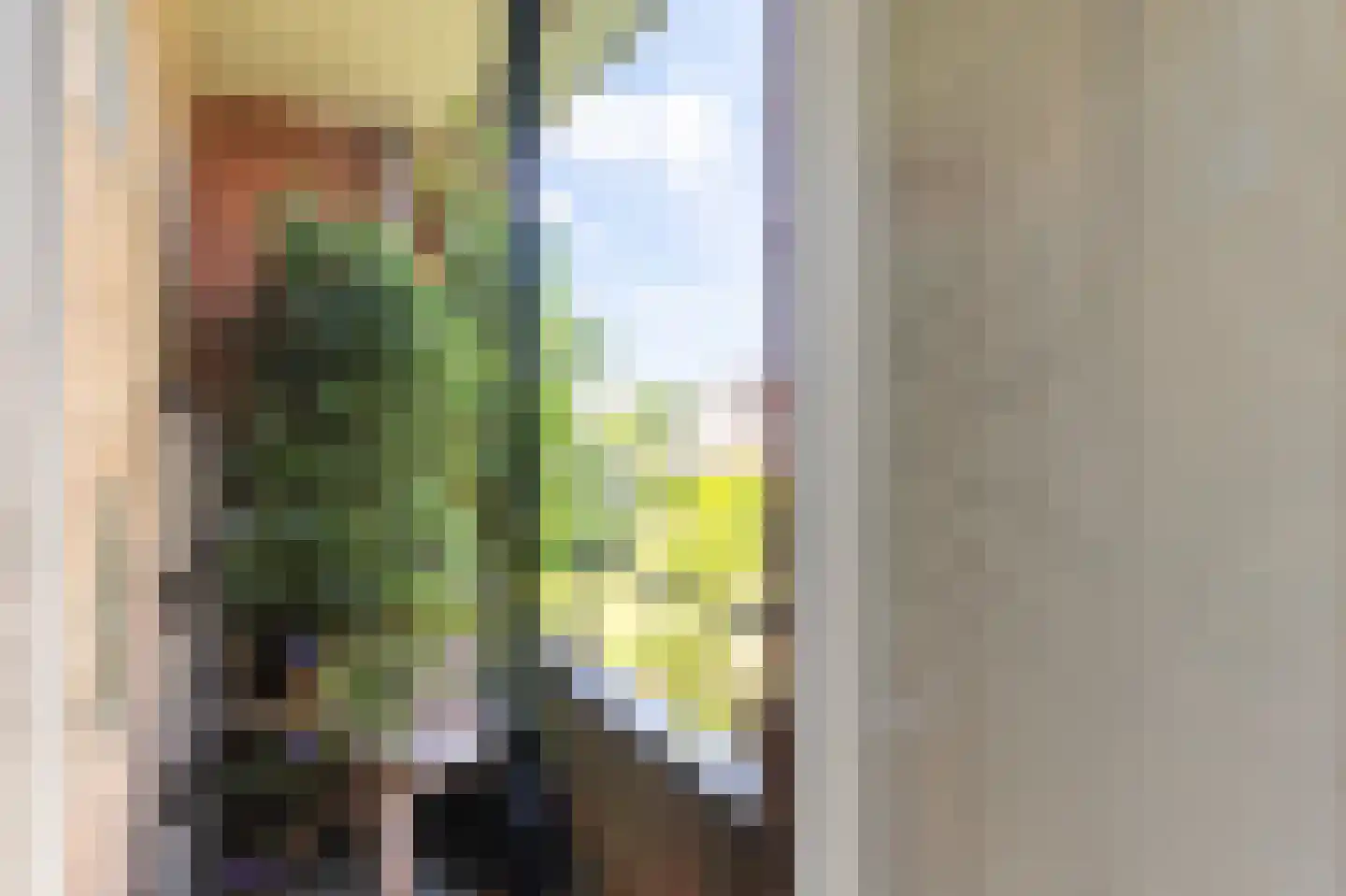 Zwaluwlaan 150 Bussum thumbnail 21