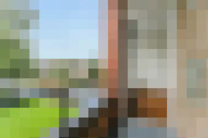 Zwaluwlaan 150 Bussum thumbnail 22
