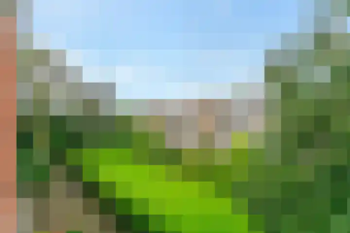 Zwaluwlaan 150 Bussum thumbnail 24