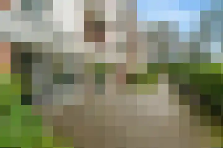Zwaluwlaan 150 Bussum thumbnail 26