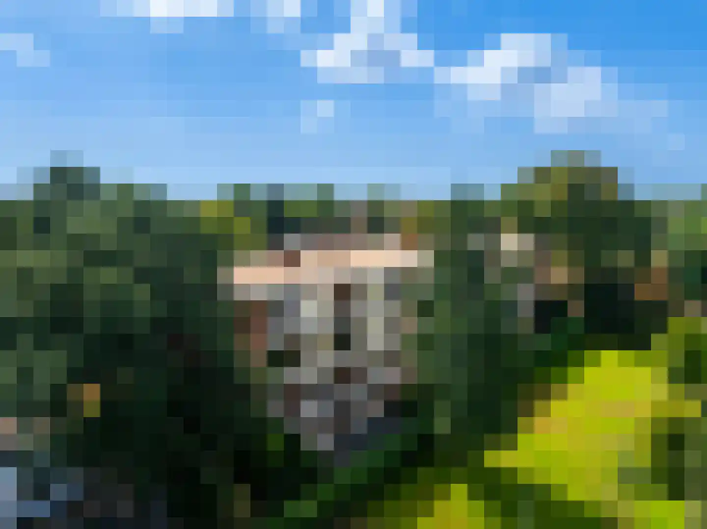 Zwaluwlaan 150 Bussum thumbnail 26