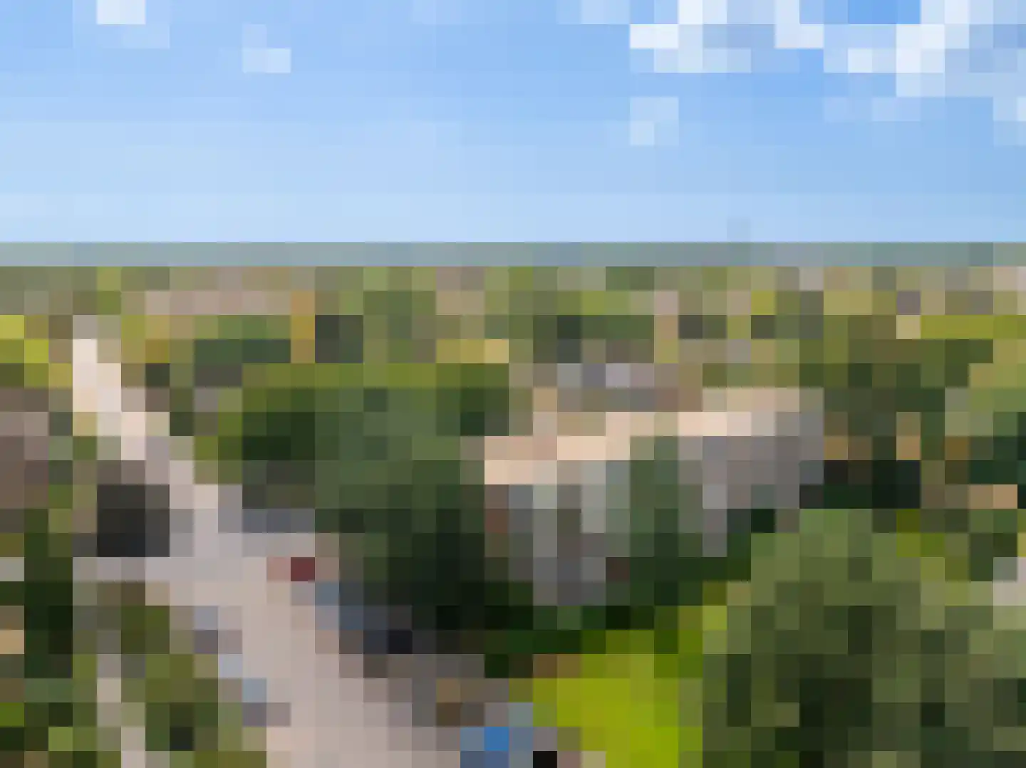 Zwaluwlaan 150 Bussum thumbnail 27