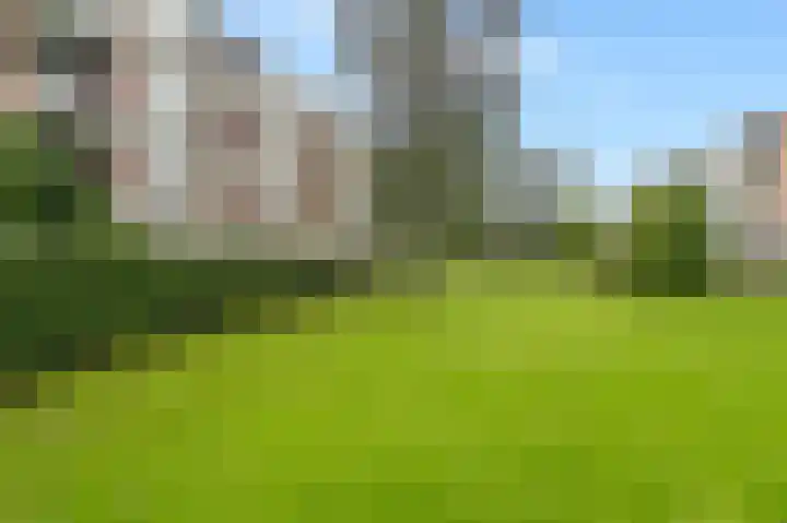 Zwaluwlaan 150 Bussum thumbnail 27