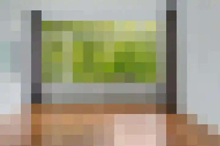 Zwaluwlaan 150 Bussum thumbnail 7