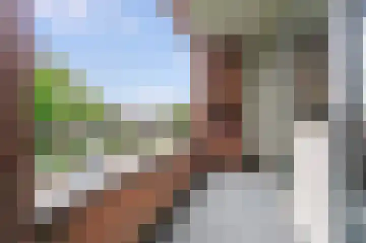 Zwaluwlaan 150 Bussum thumbnail 9