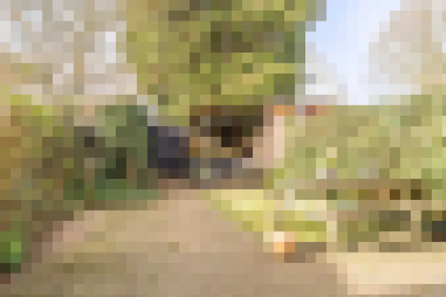 Zwaluwlaan 198 Bussum thumbnail 38