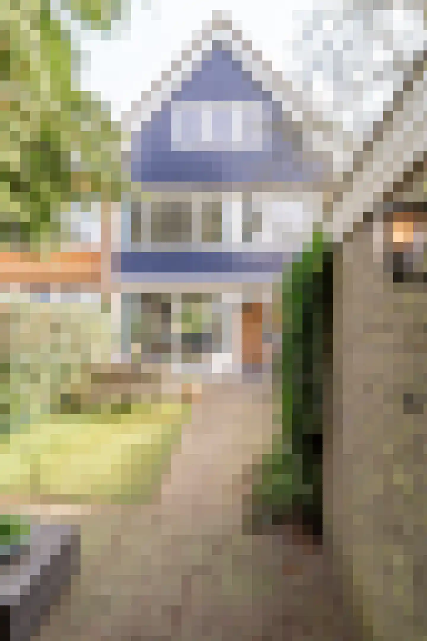 Zwaluwlaan 198 Bussum thumbnail 39