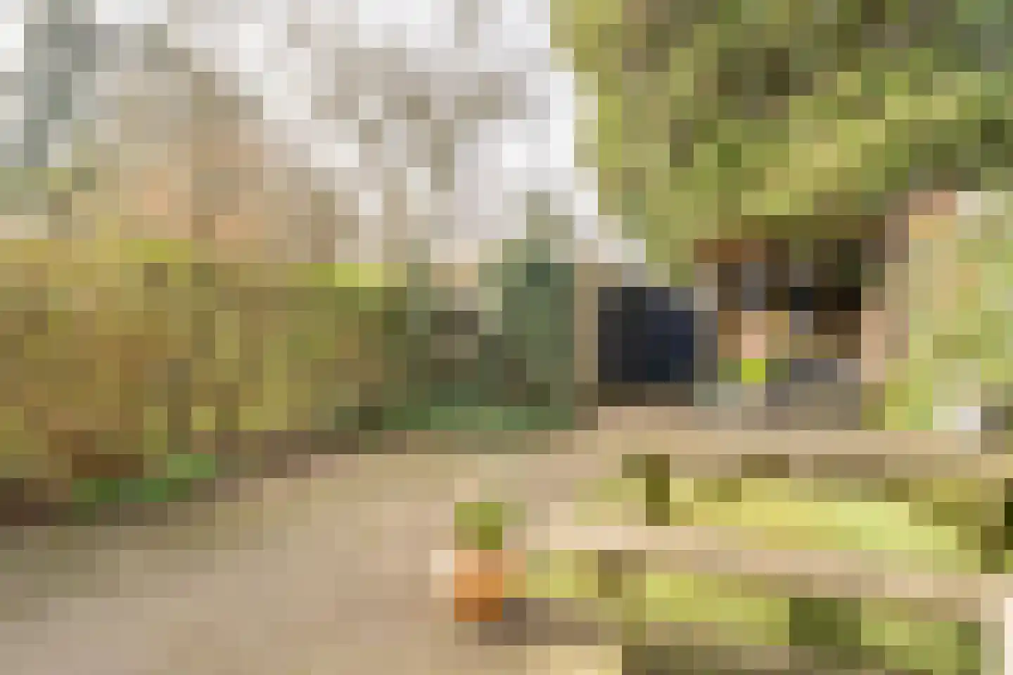 Zwaluwlaan 198 Bussum thumbnail 4