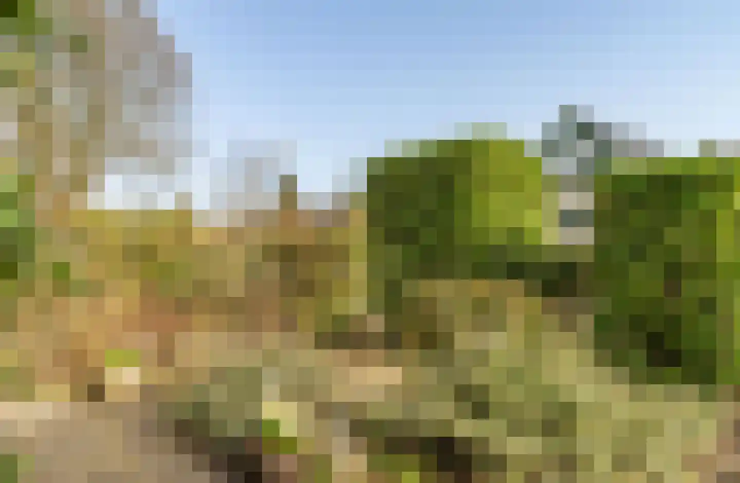 Zwaluwlaan 198 Bussum thumbnail 40