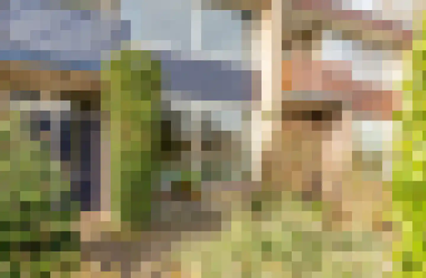 Zwaluwlaan 198 Bussum thumbnail 6