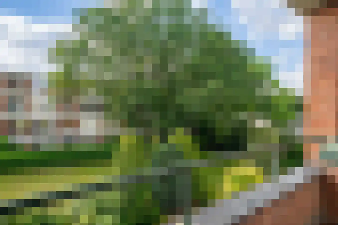 Zwaluwlaan 22 Bussum thumbnail 20