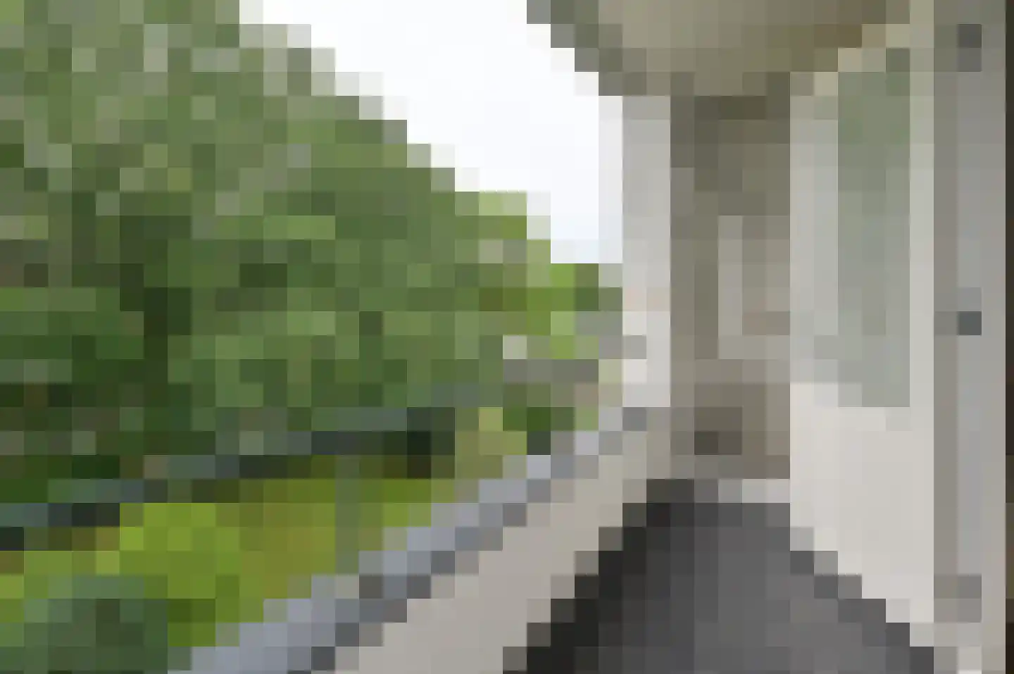 Zwaluwlaan 32 Bussum thumbnail 6