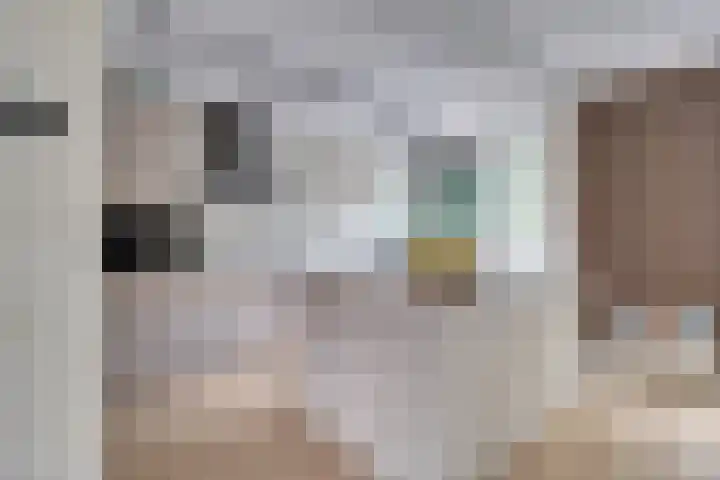 Zwaluwlaan 34 Bergschenhoek thumbnail 11