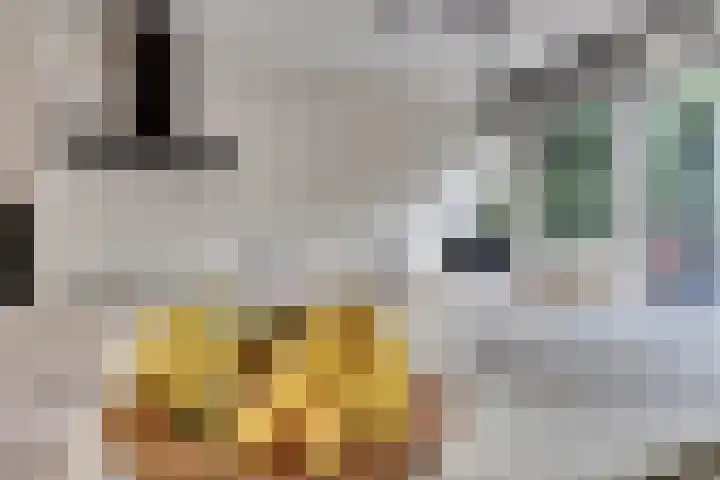 Zwaluwlaan 34 Bergschenhoek thumbnail 12